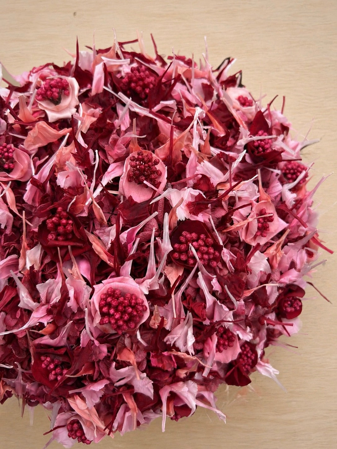 
                  
                    Unika Carnation
                  
                