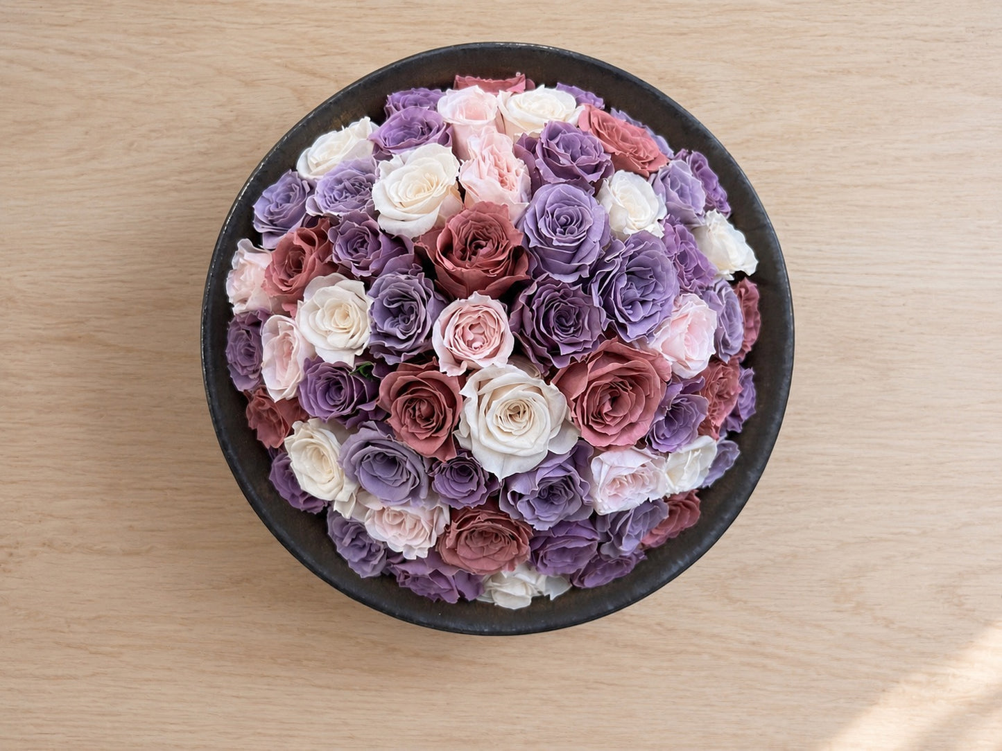 
                  
                    Unika Rose
                  
                