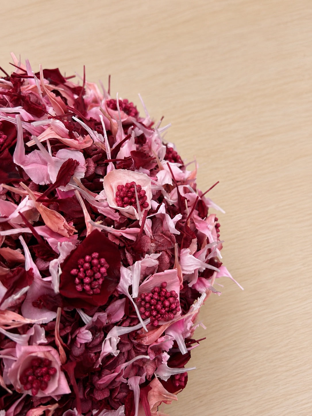 
                  
                    Unika Carnation
                  
                