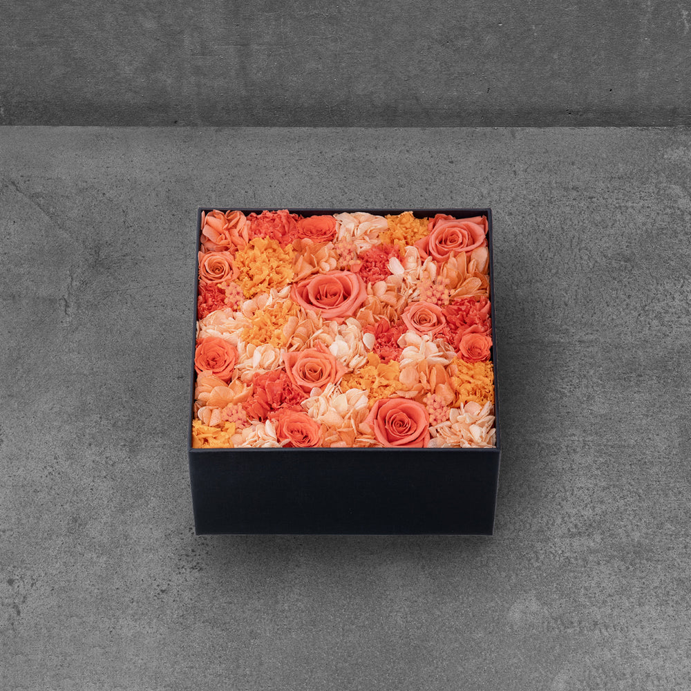
                  
                    Tangerine Shine
                  
                